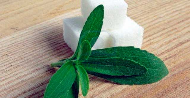 Beneficios stevia salud