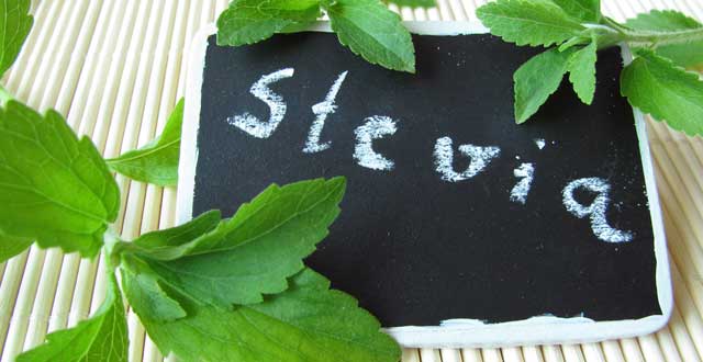 Proceso extraccion stevia