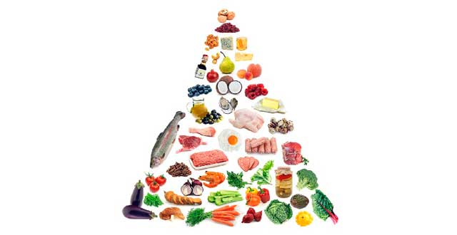 Gastrointestinal diversidad dieta