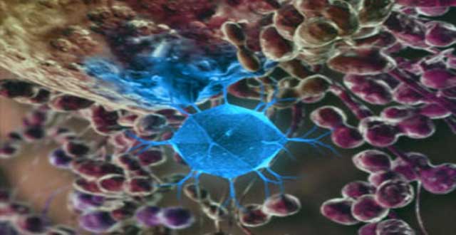 Nanodiamantes deteccion cancer